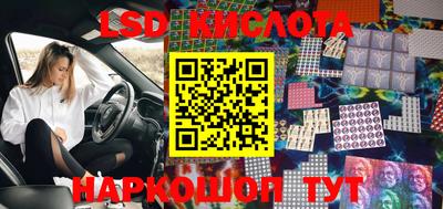 прущие грибы Гусиноозёрск