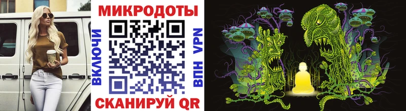 Галлюциногенные грибы Psilocybe  blacksprut как войти  Ставрополь 