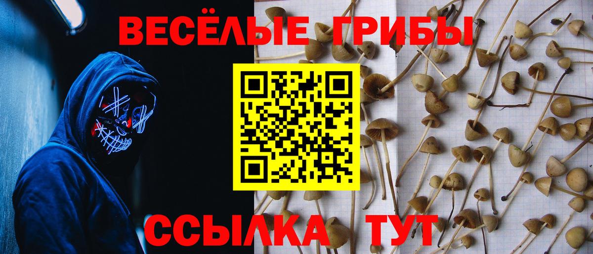 Ставрополь  Псилоцибиновые грибы Psilocybe  Вход с VPN  закладка  Галлюциногенные грибы MAGIC MUSHROOMS 